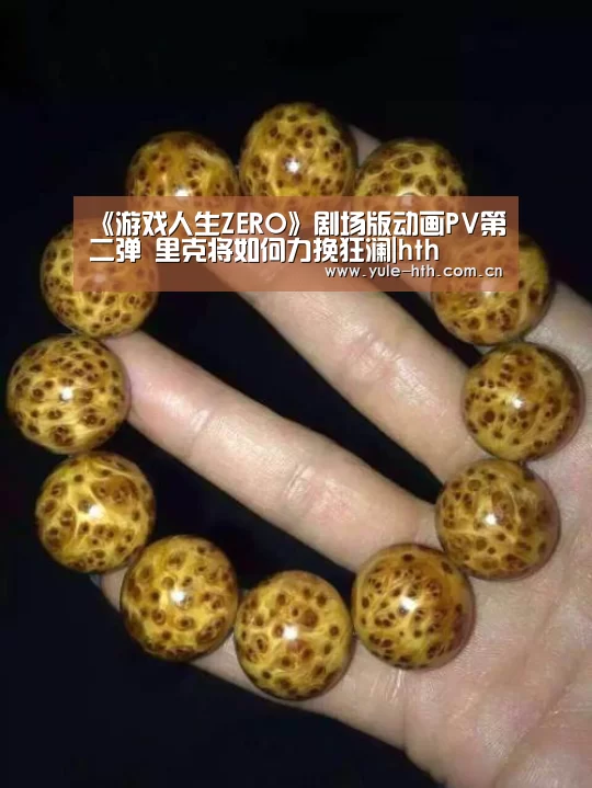 《游戏人生ZERO》剧场版动画PV第二弹 里克将如何力挽狂澜|hth