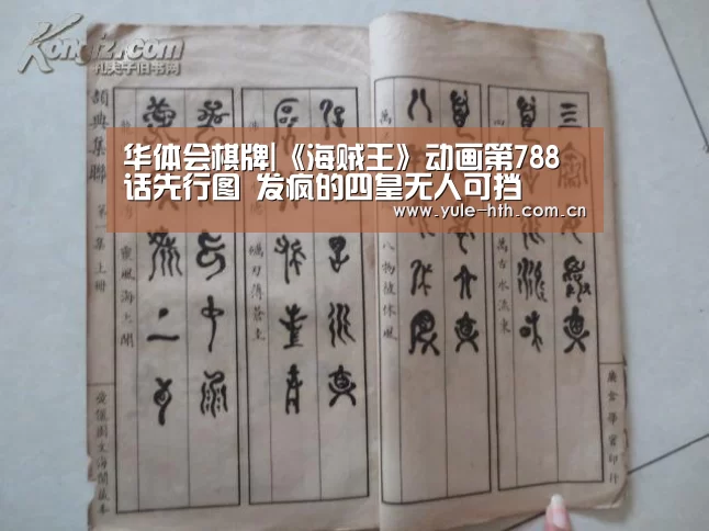 华体会