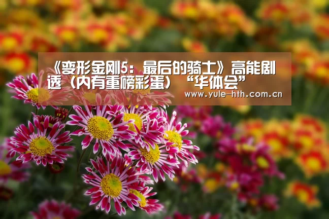 华体会棋牌