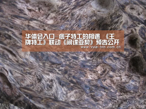 华体会入口